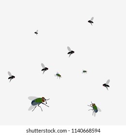 Flies on white background isolated. Vector Fly. Stock vector illustration.