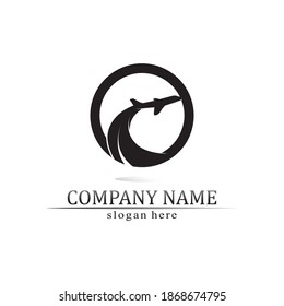 Flight aeroplane vector and logo design Transportation 