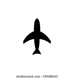 The flight of the aircraft.
