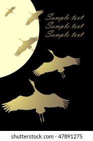 Flight of a bird