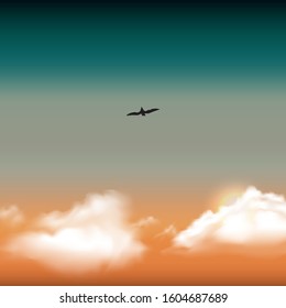 A flight of the bird above the clouds and sun. Sunset. White clouds and semi color sky. It can be used as a background. Vector illustration. 