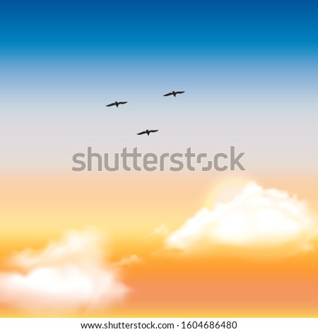 A flight of the birds above the clouds and sun. Sunset. White clouds and semi color sky. It can be used as a background. Vector illustration. 