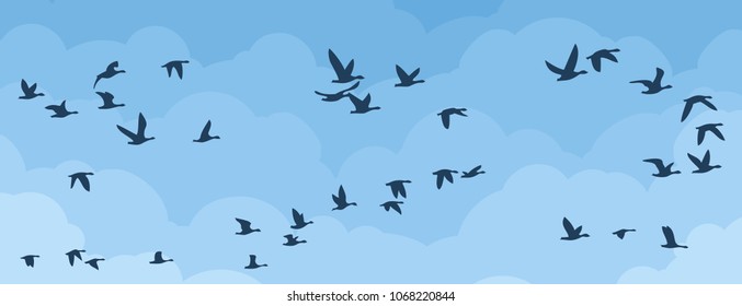 Flight of birds in the sky.