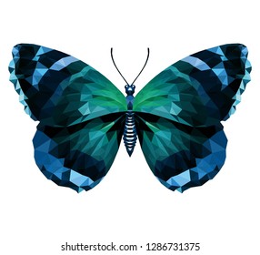 Flight of a blue-green butterfly in the air.