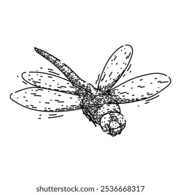 Fluglibelle, handgezeichnet. Naturteich, Raubtier aquatischen, Biodiversität Ökosystem Flug Libelle Vektorskizze. einzelne schwarze Illustration