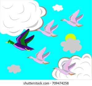 Flight of ducks to the south