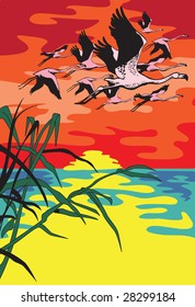 The flight of a flamingo flying against the sun ascending over the river