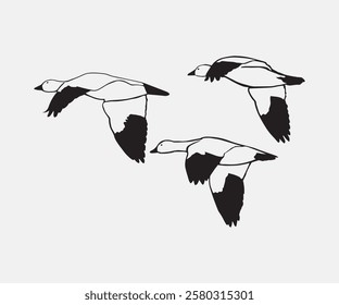 flight geese sihouette. free vector illustration