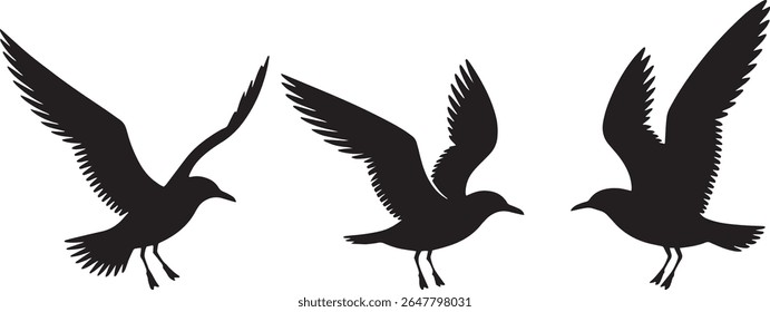 flight, migration, freedom, sky, nature, avian, birds, silhouette, flying, 