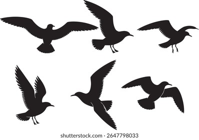 flight, migration, freedom, sky, nature, avian, birds, silhouette, flying, 