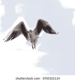 The flight of a seagull in the sky, the shape of the wings, inspired aircraft designers
