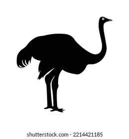 Flightless animal bird ostrich icon | Black Vector illustration |