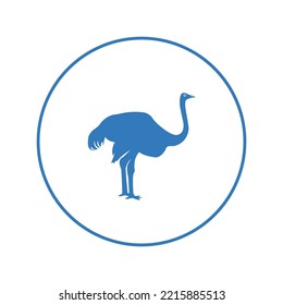 Flightless animal bird ostrich icon | Circle version icon |