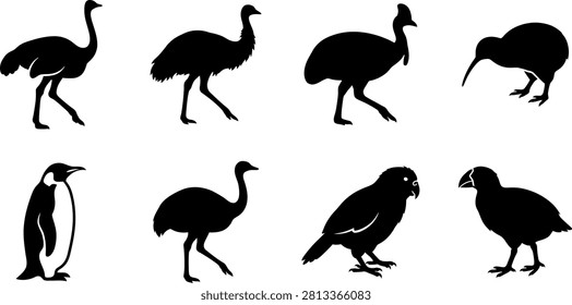 Flightless Bird Silhouette Collection Featuring Ostrich Emu Cassowary Kiwi Penguin and Parrot Vector Set