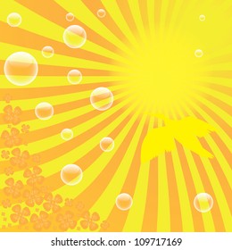 Fliing bird on the sunshine