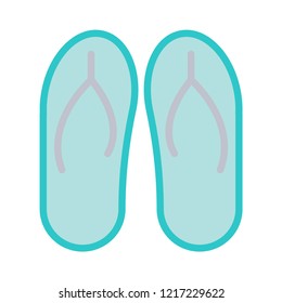 flip flop   sandal   slipper  
