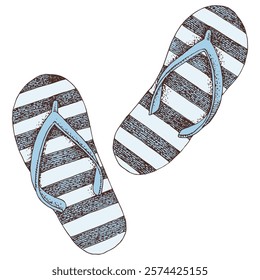 Flip flop shoes hand drawn vector illustration