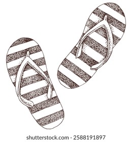 Flip flop shoes hand drawn vector illustration