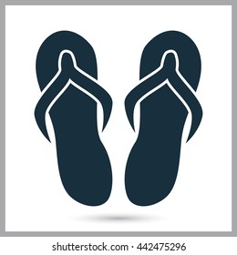 Flip flops icon on the background