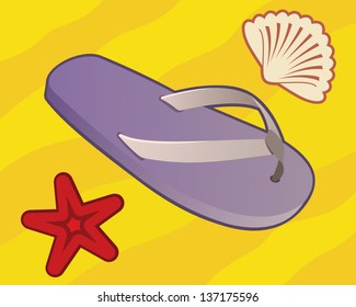  flip flops on the sand beach with starfish and shellfish