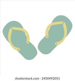 flip flops on a white background