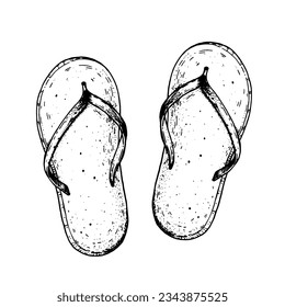 Flip flops sketch. Hand drawn vector illustration. Flip flops, sandals top view. Isolated on white.