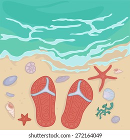flip flops and various seashells on the sea shore near the surf waves