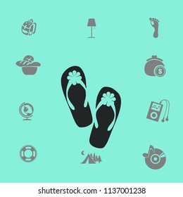 Flip flops vector illustration