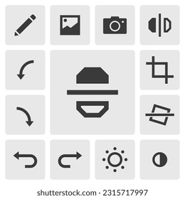 Flip vertical icon vector design. Simple set of photo editor app icons silhouette, solid black icon. Phone application icons concept. Vertically flip, edit, crop, rotate, tilt, undo, redo icons