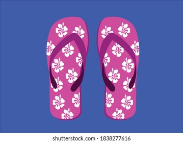 Flip-flops isolated on white background. Slippers Icons. Pink flip-flops, hibiscus flower on blue background, vector illustration EPS 10.