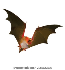 Flittermouse vector illustration. Bat on white background. Rearmouse picture. Vampire. Halloween decoration. Wildlife night animals. Halloweens clipart for logo, greeting cards and design.