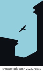 fliying bird in the sky