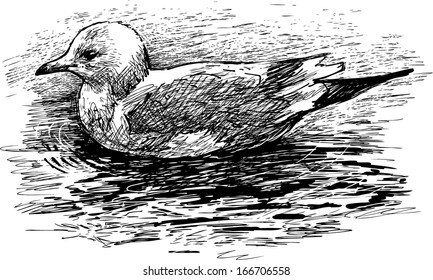 floating bird