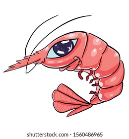 
Floating Cartoon Pink Shrimp with Big Eye.