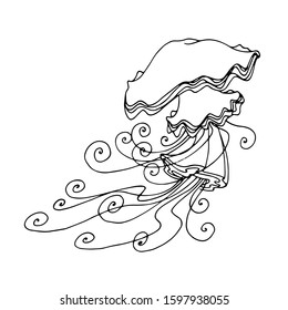 floating decorative jellyfish with tentacles in the form of lace curls, pet for aquarium, vector illustration of black contour lines isolated on white background in Doodle and hand drawn style
