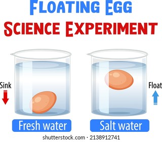 Floating egg science experiment illustration