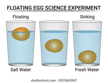 Experimento de Ciencia de huevos flotantes usando agua salada y agua dulce