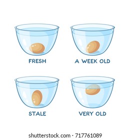 Egg Float Water Stock Illustrations Images Vectors