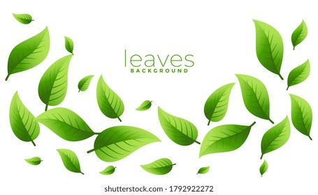 floating or falling green leaves background design