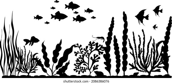 Floating Fish Seaweed Silhouette Isolated Vector Stock Vector (Royalty ...