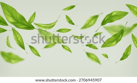 Floating green leaves drift across a light background, a fresh nature theme with soft motion, vector illustration background