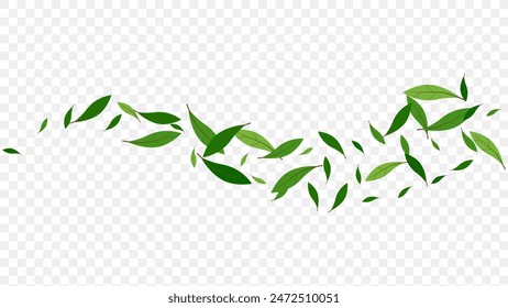 floating green leaves isolated on a transparent background. Greenery ecology organic illustration