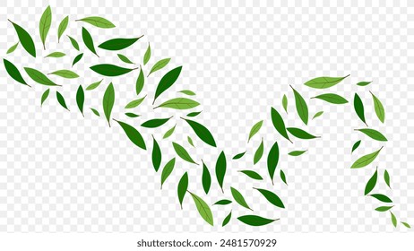 floating green leaves isolated on a transparent background. Greenery ecology illustration. Organic product