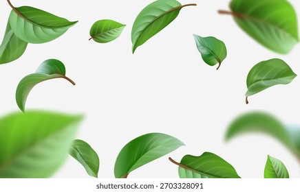 Hojas verdes flotantes sobre fondo blanco con movimiento natural