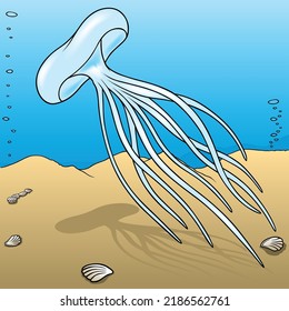 Floating Jellyfish with Long Tentacles - Colored Cartoon Illustration with Background, Vector