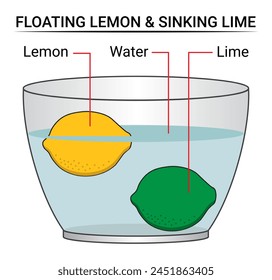 Experimento de Ciencia de Limón Flotante y Cal Hundida