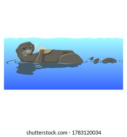 Floating Otter On Water, Aquatic Animal In the Ocean