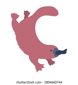 Floating pink platypus on white background in flat style