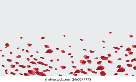 Floating red rose petal isolated on white. Background concept for love greetings on valentines day and mothers day. Space for text. rose for love Beautiful floral