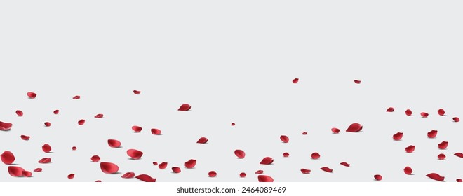 Floating red rose petal isolated on white. Background concept for love greetings on valentines day and mothers day